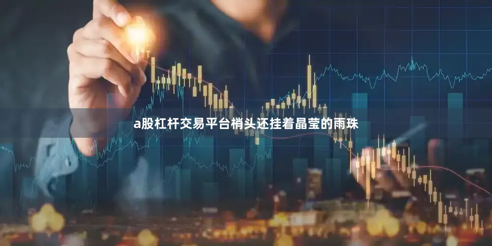 a股杠杆交易平台梢头还挂着晶莹的雨珠