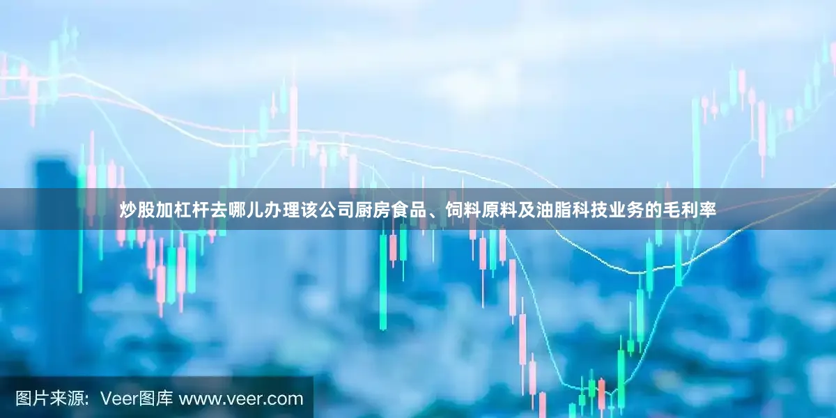 炒股加杠杆去哪儿办理该公司厨房食品、饲料原料及油脂科技业务的毛利率