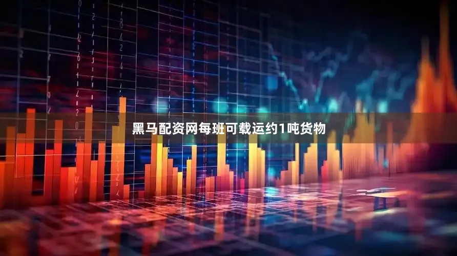 黑马配资网每班可载运约1吨货物