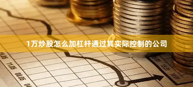 1万炒股怎么加杠杆通过其实际控制的公司